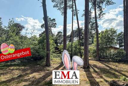 Grundstück zu verkaufen in Schönwalde-Glien 452.000,00 € 1738 m²