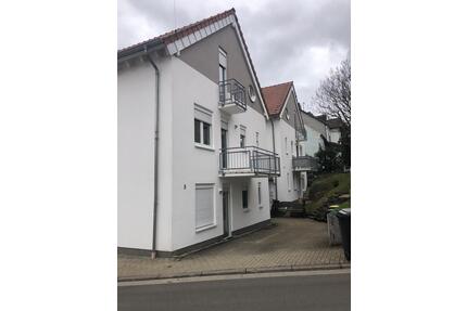 2 ZKB Wohnung in Suzbach zu vermieten - Sulzbach (Saar)