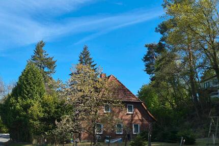 Zweifamilienhaus auf Naturgrundstück mit Elbblick nahe Hamburg - Neu Darchau