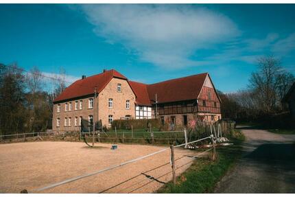 Herrenhaus, Mehrfamilienhaus 3-7 WE, Reitplatz, Paddockboxen - Lemgo