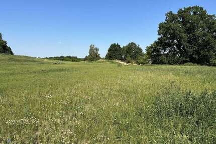 Grundstück zu verkaufen in Bleckede (Breetze) 99.990,00 € 2242 m²
