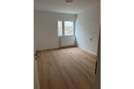 Voll sanierte 2-Zimmerwohnung in Mannheim