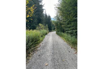 Ökopunkte Lkr. STA - 4,00&nbsp;EUR Kaltmiete, ca.&nbsp; 0,00&nbsp;m&sup2; in München (PLZ: 80333) Altstadt-Lehel