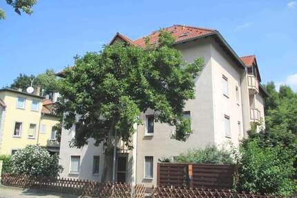 Wohnung zum Mieten in Dresden 490,00 € 65 m²