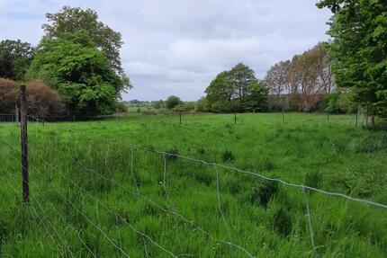 idyllische Weide, für Nutzvieh Pferde, Schafe oder ähnlich - Quickborn