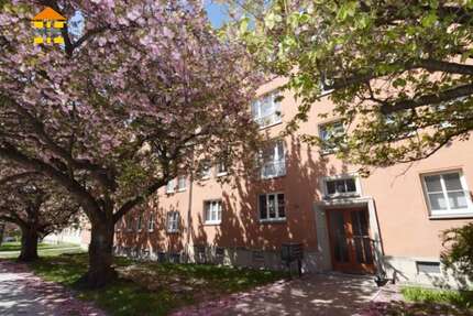 Wohnung zum Kaufen in Chemnitz 65.000,00 € 67.16 m²