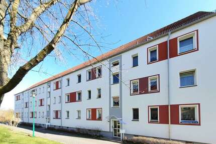 Wohnung zum Mieten in Zwickau 174,00 € 29 m²