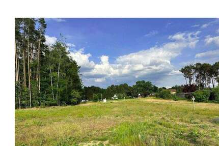 Haus zum Kaufen in Wendisch Rietz 384.990,00 € 120 m²