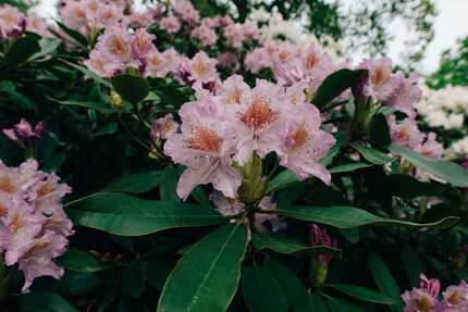 Grundstück zu verkaufen in Schwerin 145.000,00 € 2031 m²