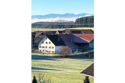 Offenes Wohnen unter dem Dach mit fantastischem Bergblick - Haldenwang