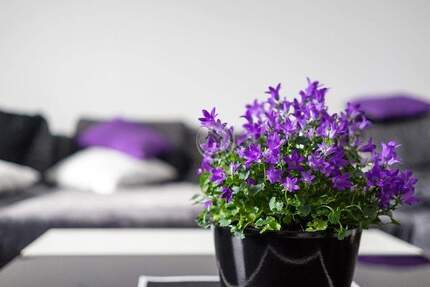 !!! ImmoPoint !!! (5) 6-Familienhaus in TOP LAGE !!! - Hagen Hohenlimburg