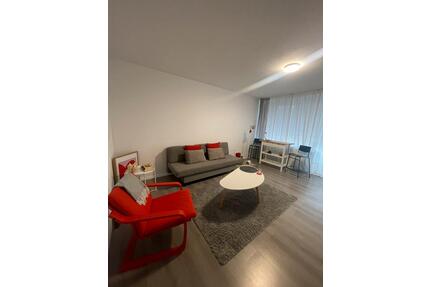 -Zi.-Whg., renoviert, Terrasse, Garage, möbliert, ruhig - Münster Gievenbeck