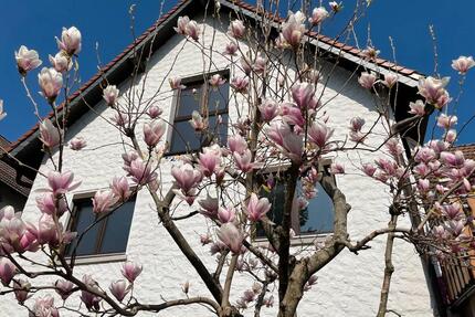 Freistehendes Einfamilienhaus in Niederhöchstadt zu vermieten - Eschborn