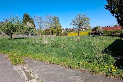 Grünfläche - 70,00&nbsp;EUR Kaltmiete, ca.&nbsp; 0,00&nbsp;m&sup2; in Landsberg am Lech (PLZ: 86899) Ellighofen
