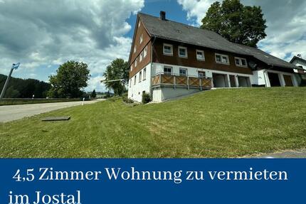 idyllische 4,5 Zimmerwohnung im Jostal - Titisee-Neustadt