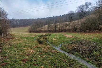 WieseWeide Nähe Oberzent zu verpachten