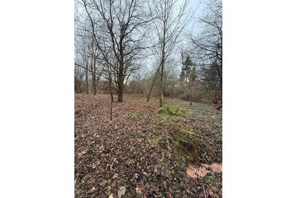 Freizeit Hobby Grundstück Wald - 250,00&nbsp;EUR Kaltmiete, ca.&nbsp; 0,00&nbsp;m&sup2; in Bassum (PLZ: 27211)