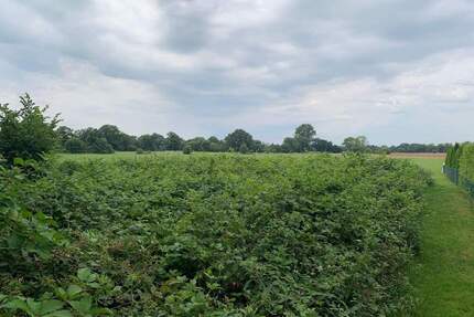 Freizeitfläche für Naturliebhaber am Stadtrand - Kaltenkirchen