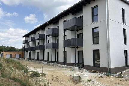 Wohnung zum Mieten in Landau an der Isar 715,00 € 55 m²