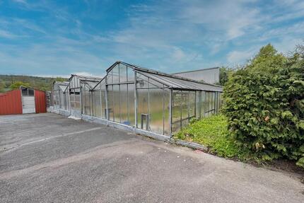 Gewächshaus mit ca. 500 m² in Großbottwar ***Teilflächen möglich***