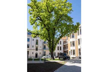 Wohnung zum Mieten in Meißen 466,00 € 42.34 m²