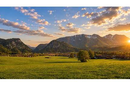 Wohnung zum Kaufen in Inzell 530.000,00 € 90.65 m²