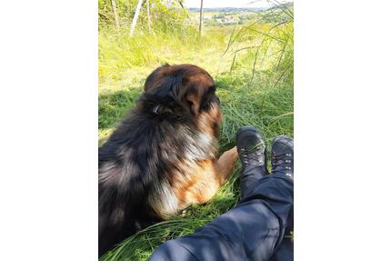 Ferienhaus in der Eifel, Urlaub mit Hund, Ferienwohnung, Wandern - Kaisersesch