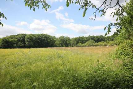 Grundstück zu verkaufen in Kelkheim 1.299.000,00 € 1297 m²