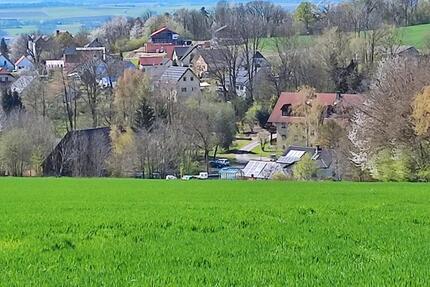 Schönes 1-Zimmer-Apartment mit Balkon, teilmöbliert zu vermieten - Neuenmarkt