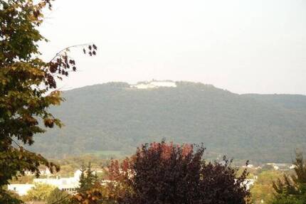 Repräsentativ in exklusiver Aussichtslage von Bad Godesberg für bis zu 3-Personenhaushalt - Bonn Lannesdorf