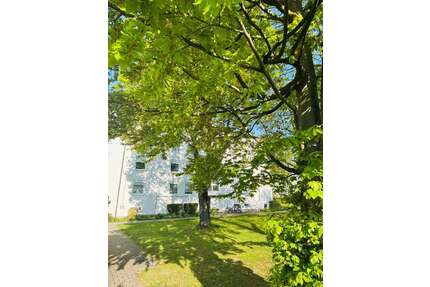 Wohnung zum Kaufen in Walldorf 269.000,00 € 83 m²