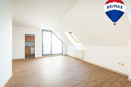 Wohnung zum Mieten in Magdeburg 700,00 € 89.06 m²