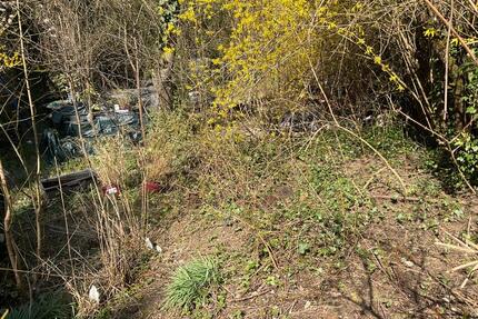 Garten in Frankfurt - Seckbach unterhalb des Lohrbergs - Frankfurt am Main Bornheim