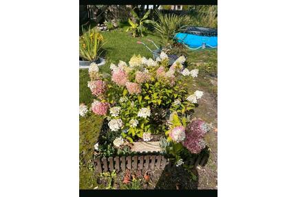 Kleingarten mit 2 Lauben - 1.400,00&nbsp;EUR Kaltmiete, ca.&nbsp; 0,00&nbsp;m&sup2; in Leipzig (PLZ: 04357) Nordost