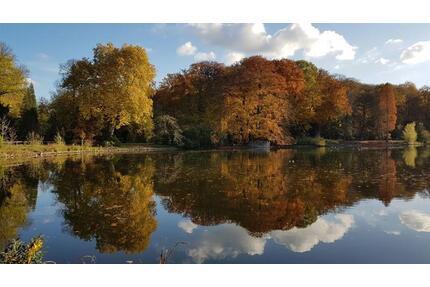 Über den Wolken mit Blick auf den Rombergpark. Hier wird gelebt, nicht nur gewohnt! - Dortmund Hombruch