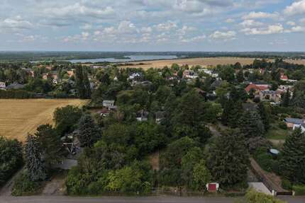 Grundstück zu verkaufen in Markkleeberg 550.000,00 € 1262 m²