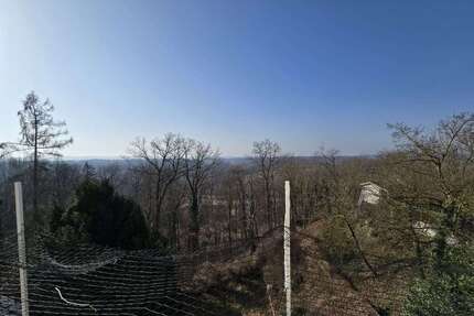 Haus zum Kaufen in Mühldorf 549.000,00 € 160 m²