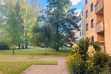 Gemütliches 1,5 Zimmer Apartment in Uninähe. Wintergarten+Aufzug - Braunschweig Nordstadt