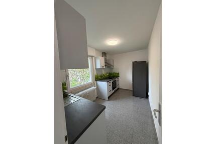Wohnung zu vermieten - Mannheim, Neckarstadt