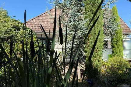 Haus zum Kaufen in Barsinghausen 449.000,00 € 203 m²