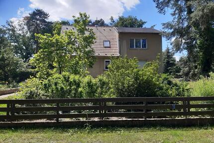 Großes ruhig gelegenes Einfamilienhaus - Wittenberg Lutherstadt Reinsdorf