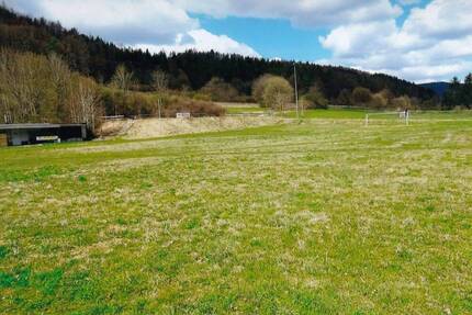 Wiesengrundstück in 96528 Frankenblick, OT Grümpen
