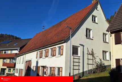 REDUZIERT: Bauernhaus mit Potential und großem Grundstück in Reichenbach
