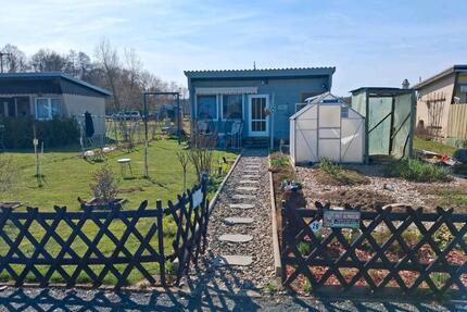 Kleingarten in Pirna Zuschendorf mit Gewächshaus