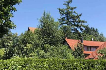 Wohnung zum Mieten in Neukirch 620,00 € 50 m²