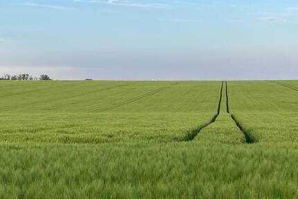 Top Ackerland bei Leipzig (Sachsen)