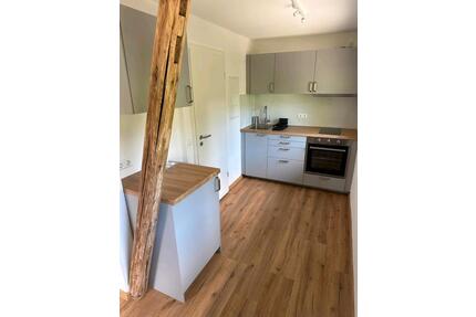 1-Zimmer-Wohnung mit Küche und Badezimmer voll möbliert ab sofort - Seebach