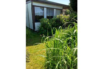 Garten Kleingarten in Stralsund Sparte Frohes Schaffen