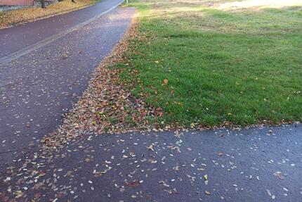 Großes Grundstück in der Lindenhofstraße 14€qm - Alsleben (Saale)