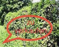 Interessantes Grundstück mit großem Entwicklungspotential - Alfeld